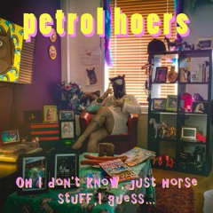 I Don't Know Just Horse Stuff I Guess