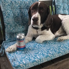 Unleaded Fuel Vol. 1