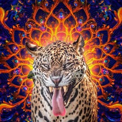PSYCHEDELIC ACIDCORE & LATINTEK // LIVE SET