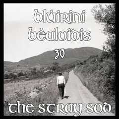 Blúiríní Béaloidis 30 - The Stray Sod