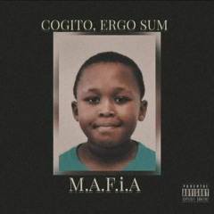 Cogito Ergo Sum
