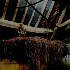 ROTTEN