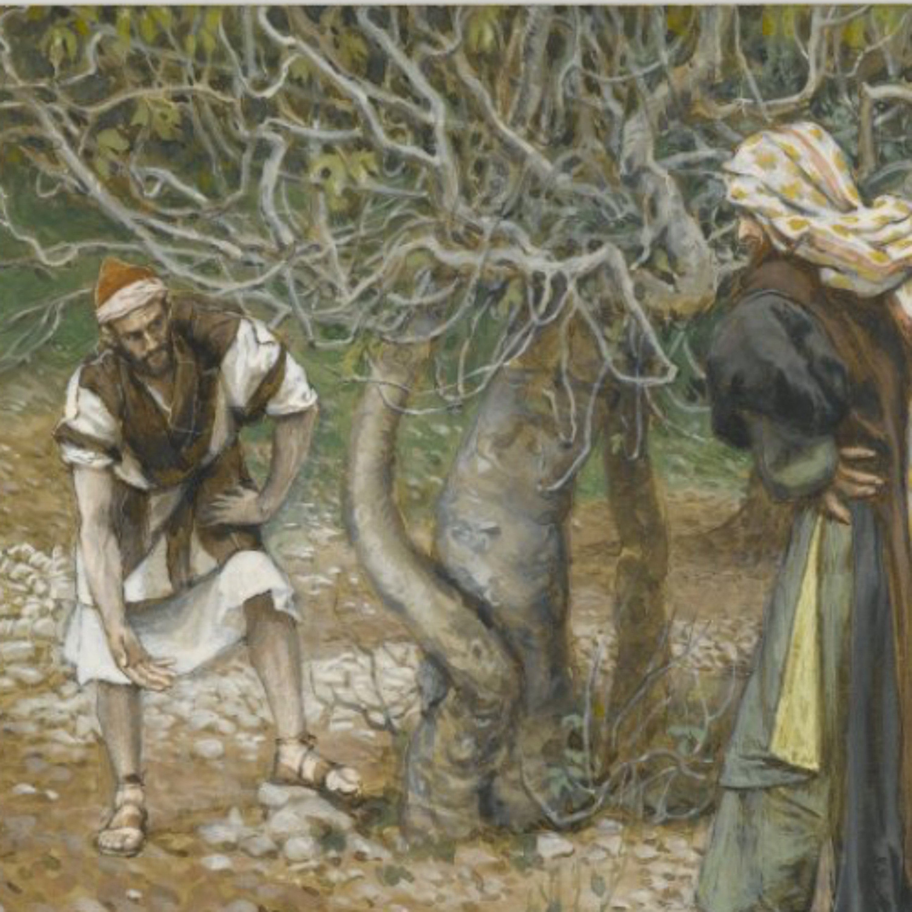 Justice, Mercy, and the Call to Bear Fruit – Homily – 3rd Sunday of Lent (Year C)