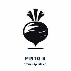 PINTO B - TURNIP MIX