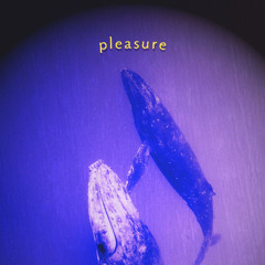 Premiere: Zero One One – Pleasure [REBORN AS CATS]