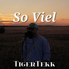 So Viel (feat. Stay0ffl1ne)