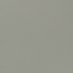 tinted white (p. nevrfall)
