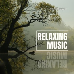 Relaxing Music (feat. Arek Borzęcki)