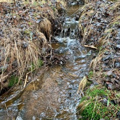 Meltwater Stream at Nacka Reserve, Sweden