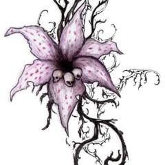 nur die Wahrheit/GeorgeGina&Lucy