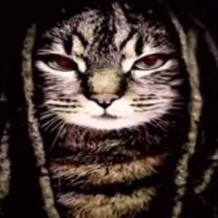 buns freestyle/locked up </3 (prod.ash58)