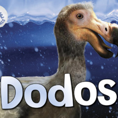 DoDos (prod. by wxves!)