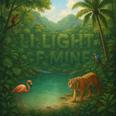 Lil Light Of Mine