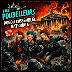 Pogo à l'assemblée nationale