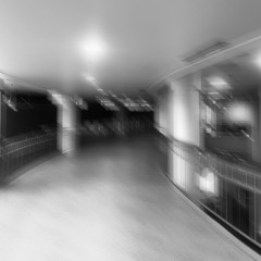 10th Floor