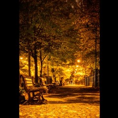 We Speak The Autumn Fluently  (a duct-ape mix-tape)