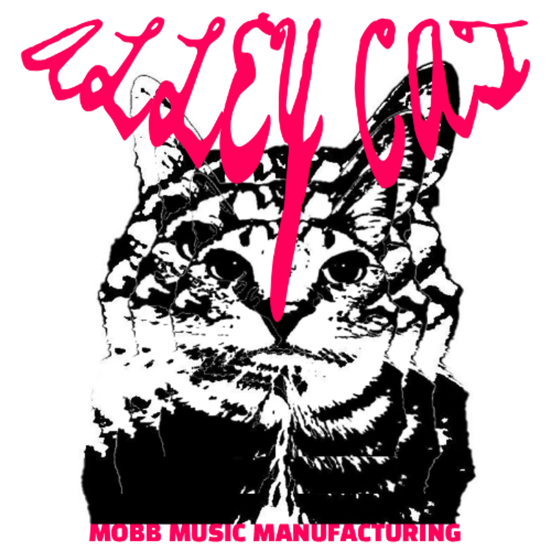Stream ALLEY CAT by DJ MOBB | Listen online for free on SoundCloud