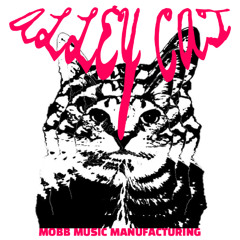 ALLEY CAT
