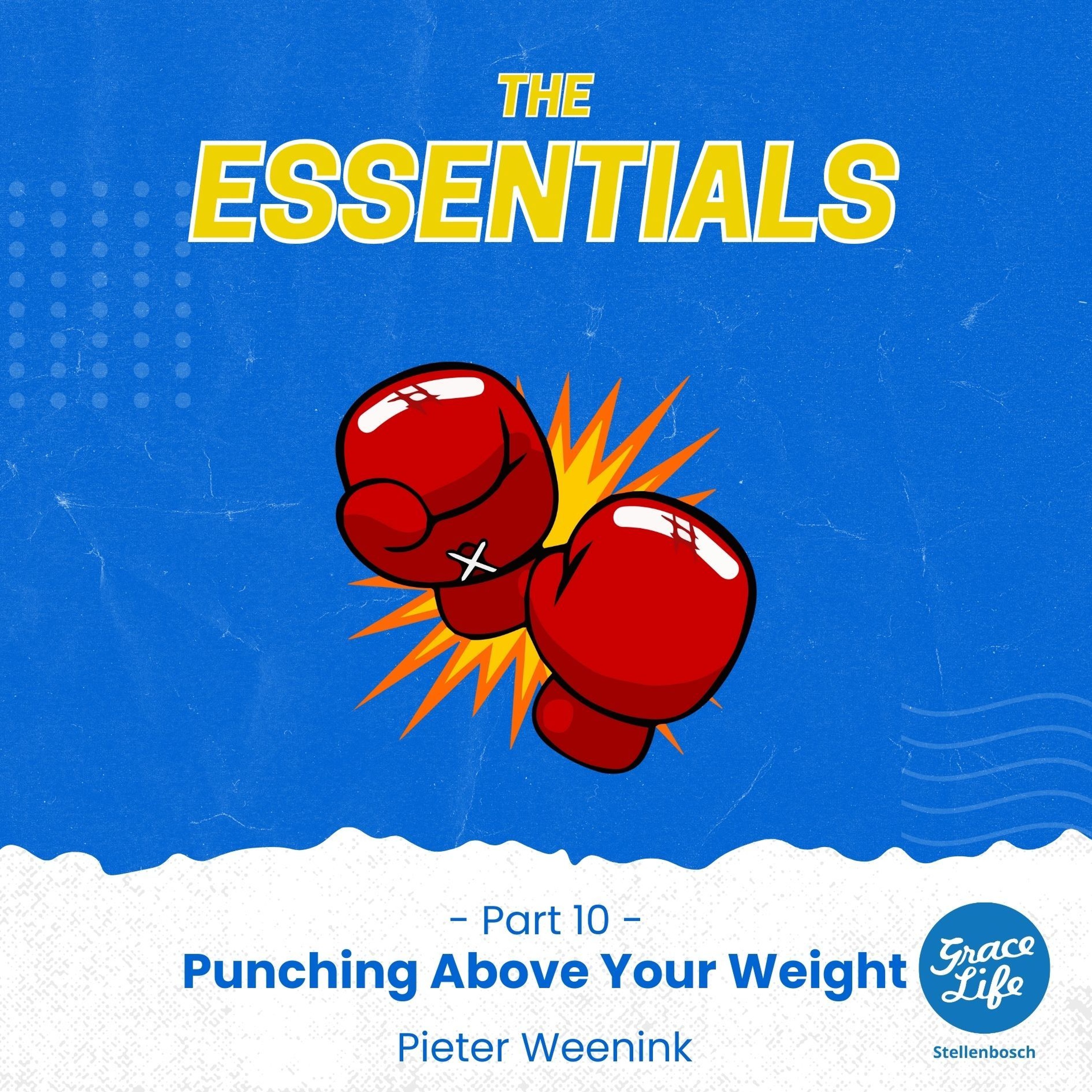 The Essentials-Part 10-Punching Above Your Weight-Pieter Weenink(Stellenbosch)