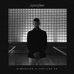 Dimension & Skrillex - Uk (Montee Edit)