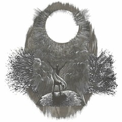 SUNGAZER(feat. Transeúnte Errante)