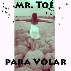 Mr. Toé- Para Volar.