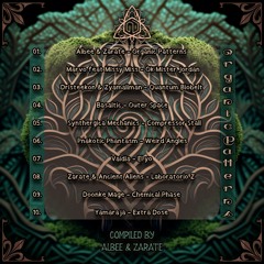01- Albee & Zarate - Organic Patterns
