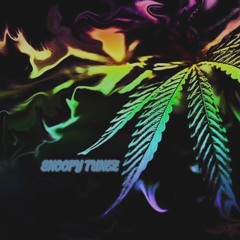Snoop Tunez House Mix  ( Clean : Dirty)