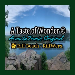 A Taste Of Wonder © - Original AcoustaTronic SongShot