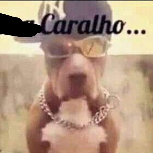 fica esperta, piranha / pica nelas