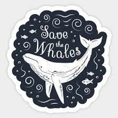 Nallak —-)Whale Respønse