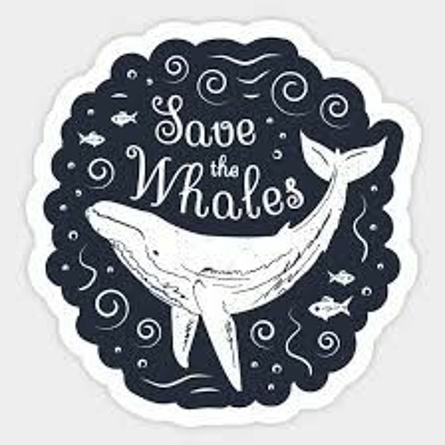 Nallak —-)Whale Respønse