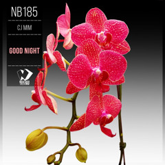Cj MIM - Good Night (Original Mix)