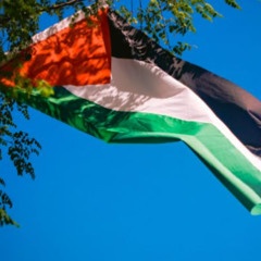 Children On GAA Palestine Tour Of Ireland Refused Travel Visas