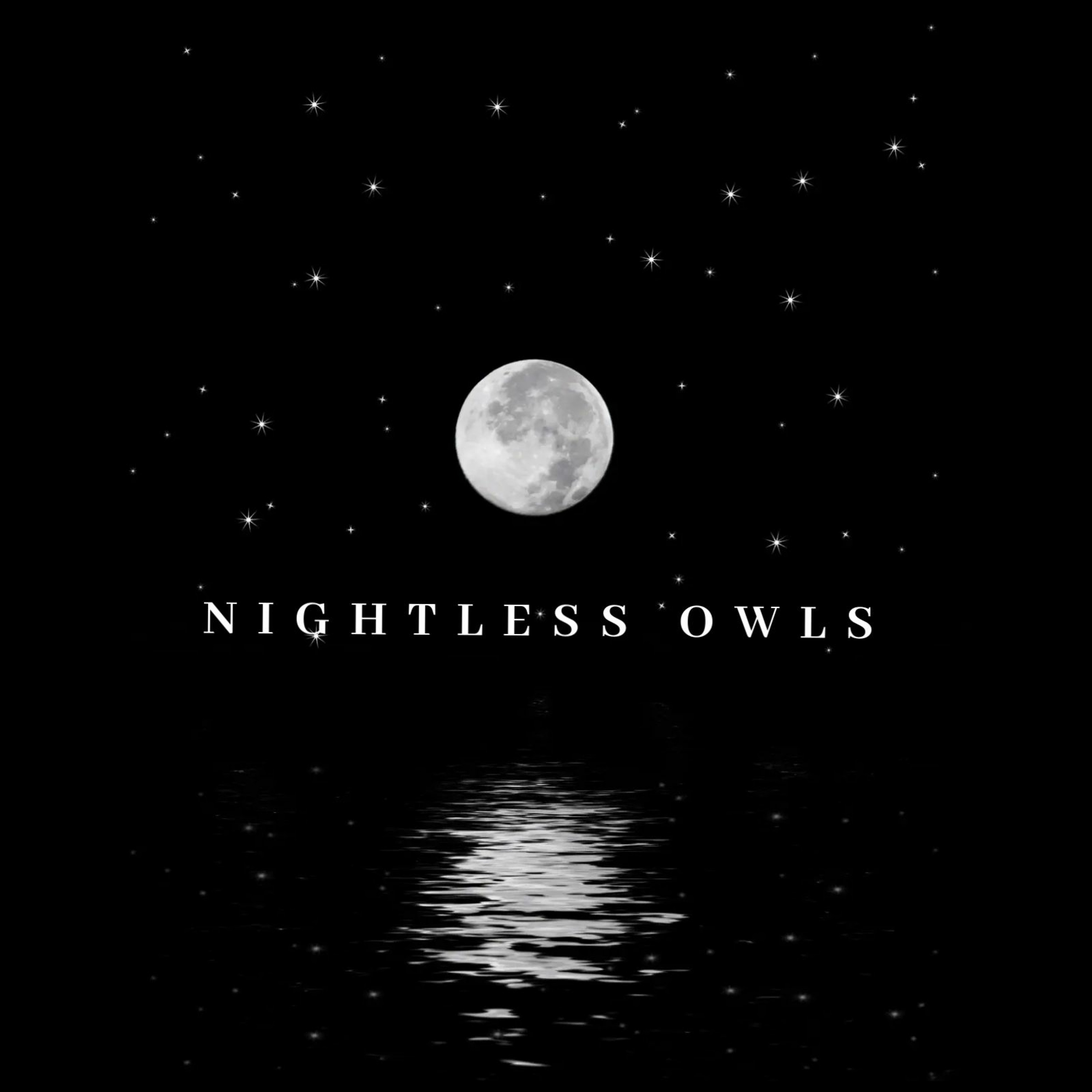 NIGHTLESS OWLS episode artwork