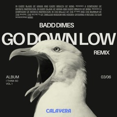Badd Dimes - Go Down Low (CALAVERA BOOTLEG EDIT)