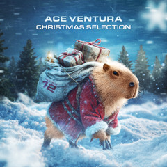 ACE VENTURA - CHRISTMAS SELECTION VOL. 12 MIX