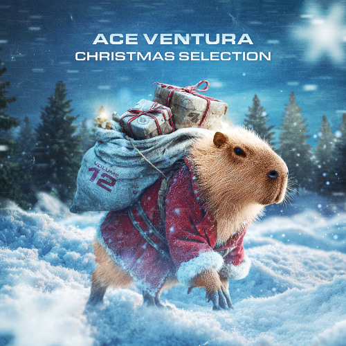 Ace Ventura - Christmas Selection Vol. 12 2025-12-24