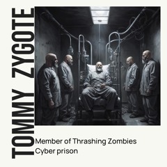 Cyber Prison