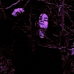 𝔗𝔯𝔞𝔲𝔪𝔨𝔯𝔦𝔢𝔤 (𝔉𝔯𝔦𝔢𝔡𝔥𝔬𝔣 - 𝔙𝔦𝔠𝔱𝔦𝔪 𝔬𝔣 𝔦𝔩𝔩𝔲𝔰𝔦𝔬𝔫)(𝔅𝔬𝔫𝔲𝔰 𝔱𝔯𝔞𝔠𝔨)