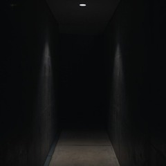 best songs i have heard in 2025