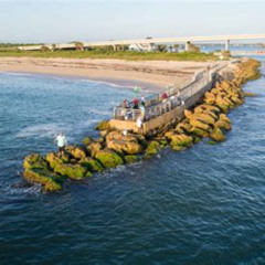 Best Things To Do In Melbourne Florida Tours Reviews