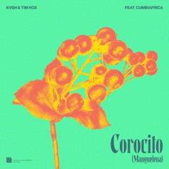 KVSH & Tim Hox - Corocito feat. Cumbiáfrica (La Mangueleña) [Saint Banez Tech House Remix]
