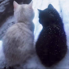 ссоры все (cabernett)