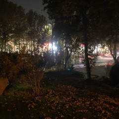 Lavasan Main Street - Night