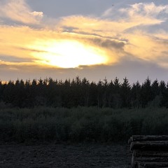 Все что я видел, все чем восхищался-я отдаю за одни самый пасмурный, самый дождливый и заплаканный д