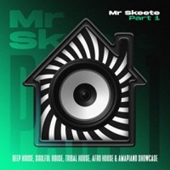 SHOWCASE MIX 2024| House x Soulful x Tribal House x Afro House x Amapiano | Workout | Mr Skeete