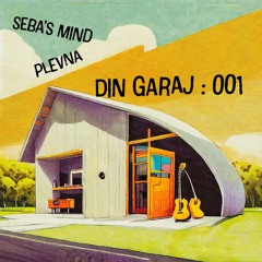 Din Garaj : 001 feat. Plevna