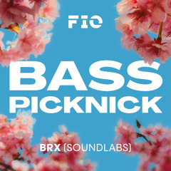 2025-05-17 FIO Basspicknick Graz Closing