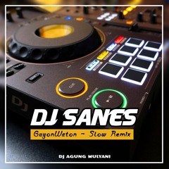 DJ SANES Slow Remix